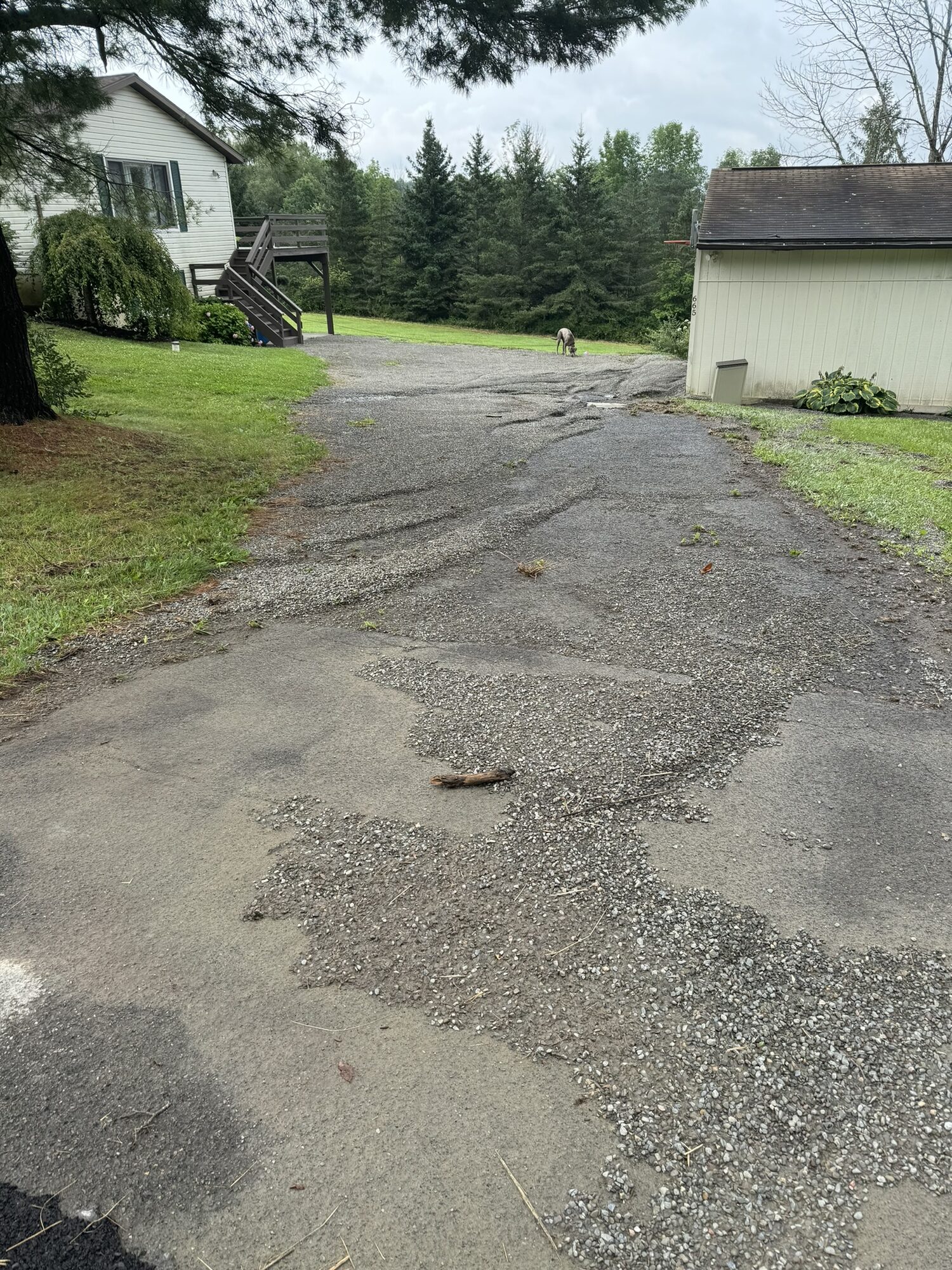 Patchy, potholed gravel driveway leading to a rural home before resurfacing.
